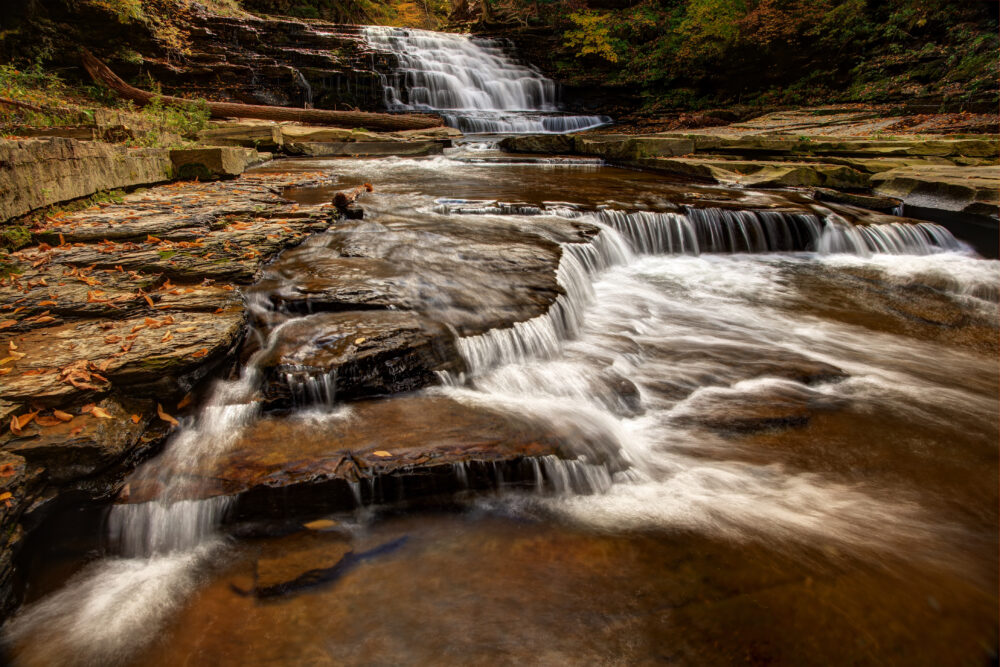 rocky steps leading to waterfall at Salt Springs State Park surrounded by autumn colours