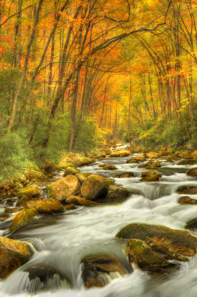 The 'Cathedral', Big Horse Creek, Smoky Mountains, North Carolina
