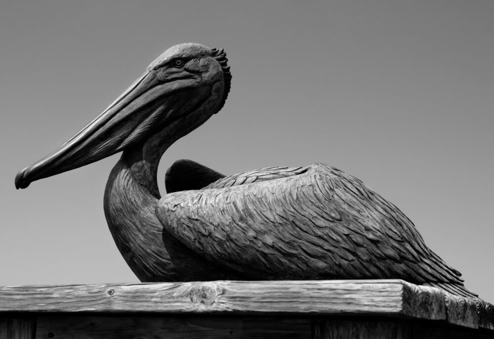 Pelican Statue, Jennette's Pier, OBX, North Carolina
