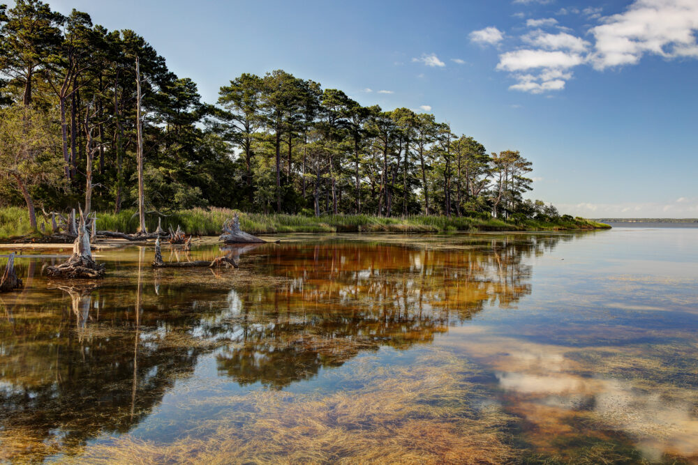 Nags Head Woods Preserve, OBX, North Carolina