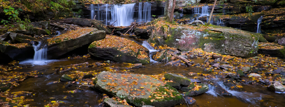Delaware Falls, Ricketts Glen State Park, Pennsylvania