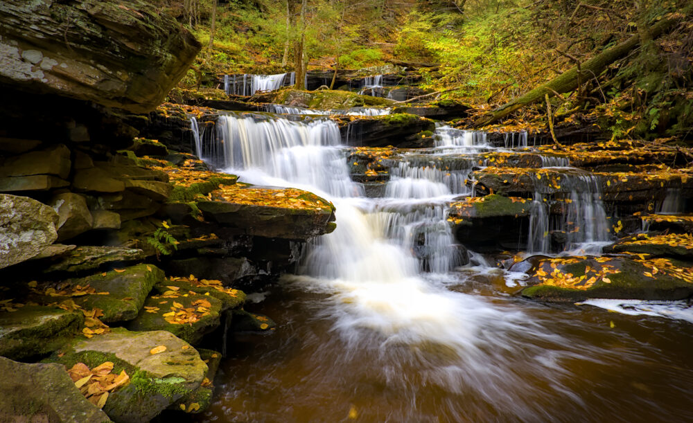 Delaware Falls, Ricketts Glen State Park, Pennsylvania