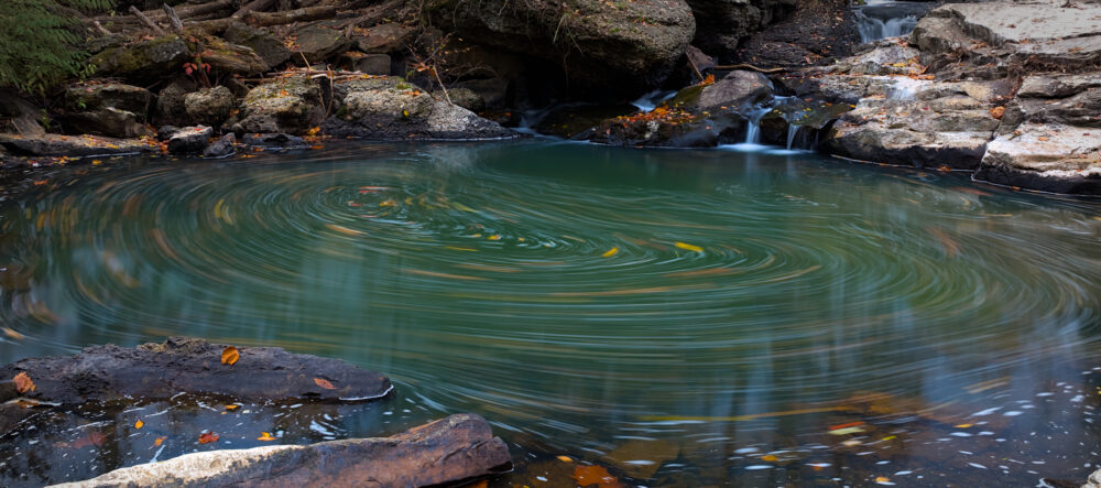 Leaf Swirl At A Rock Pool, Sandstone Falls, West Virginia