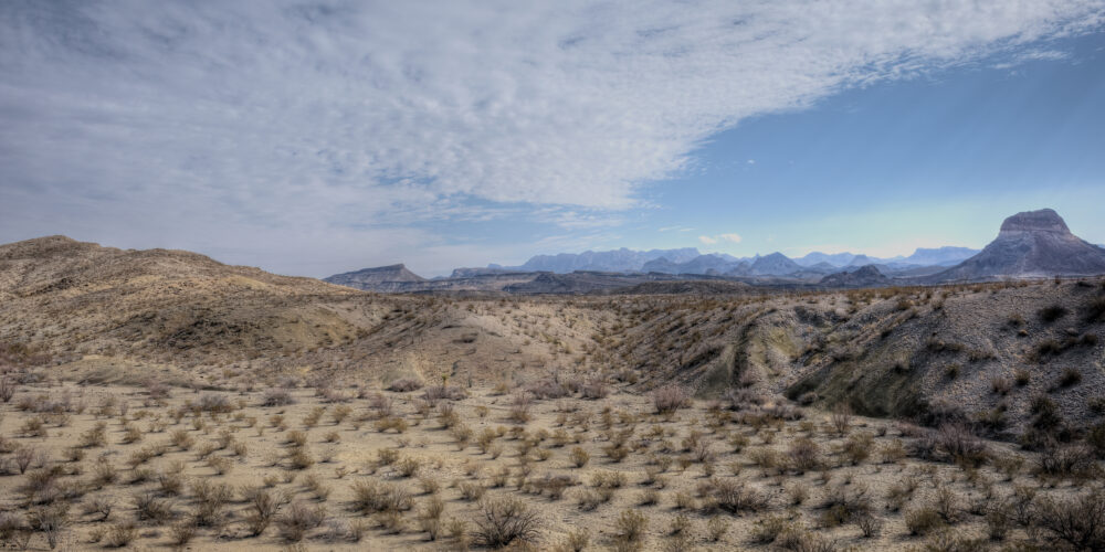 The Chihuahuan Desert, Big Bend National Park, Texas