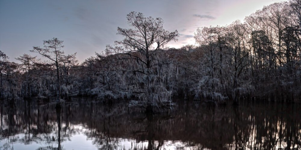 Sunrise Behind Cypress Trees At Caddo Lake State Park