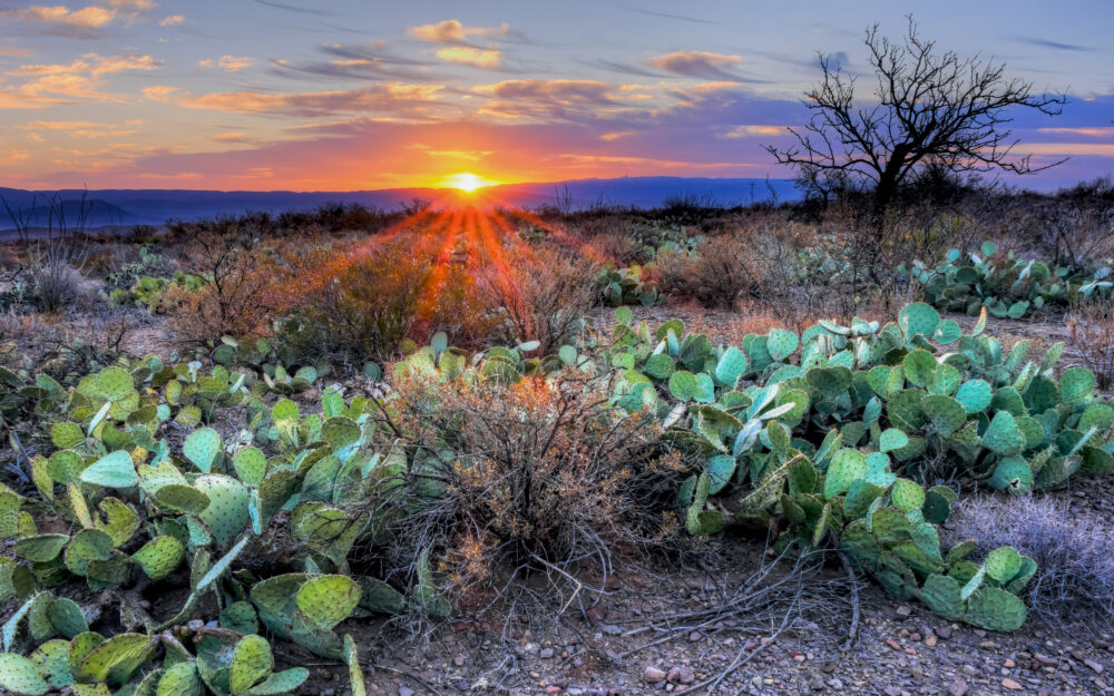 Sunrise With Sun Star at Panther Junction, Big Bend National Park, Texas