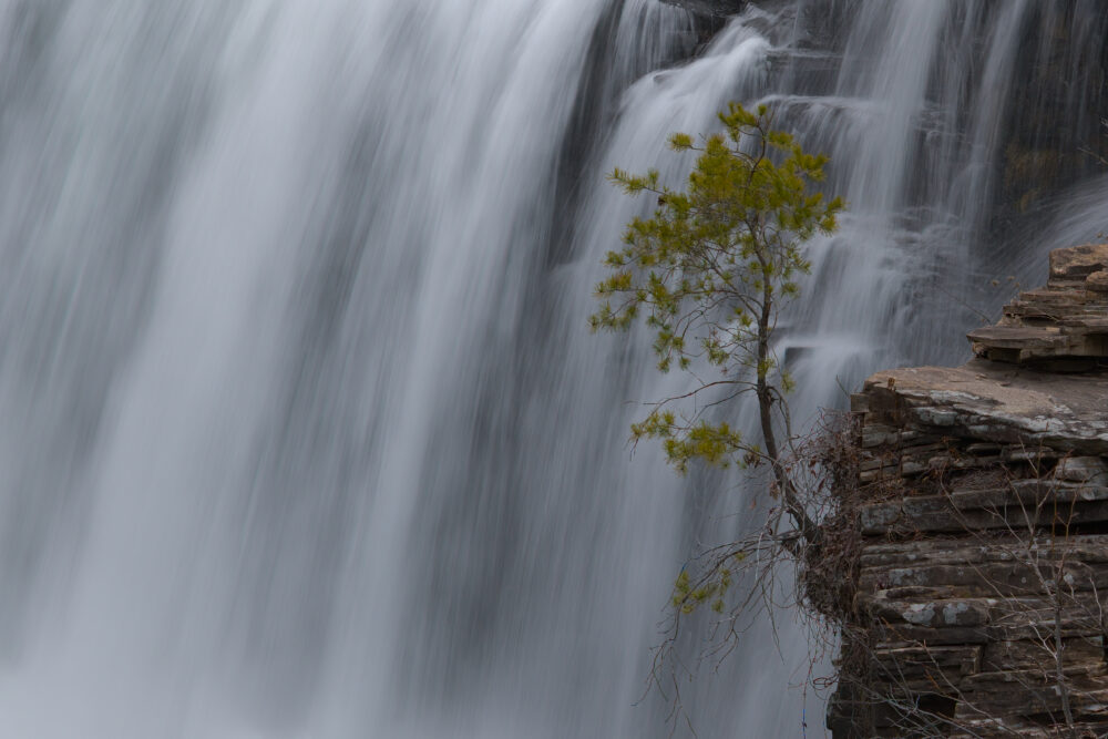 A Lonely Tree, Little River Falls, Alabama