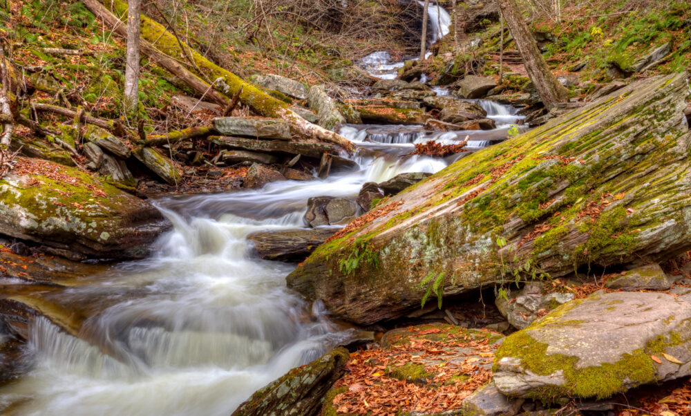 View Up The Creek Towards Huron Falls in Ricketts Glen State Park, PA